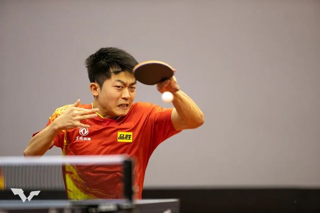 不仅因为他 不仅因为他