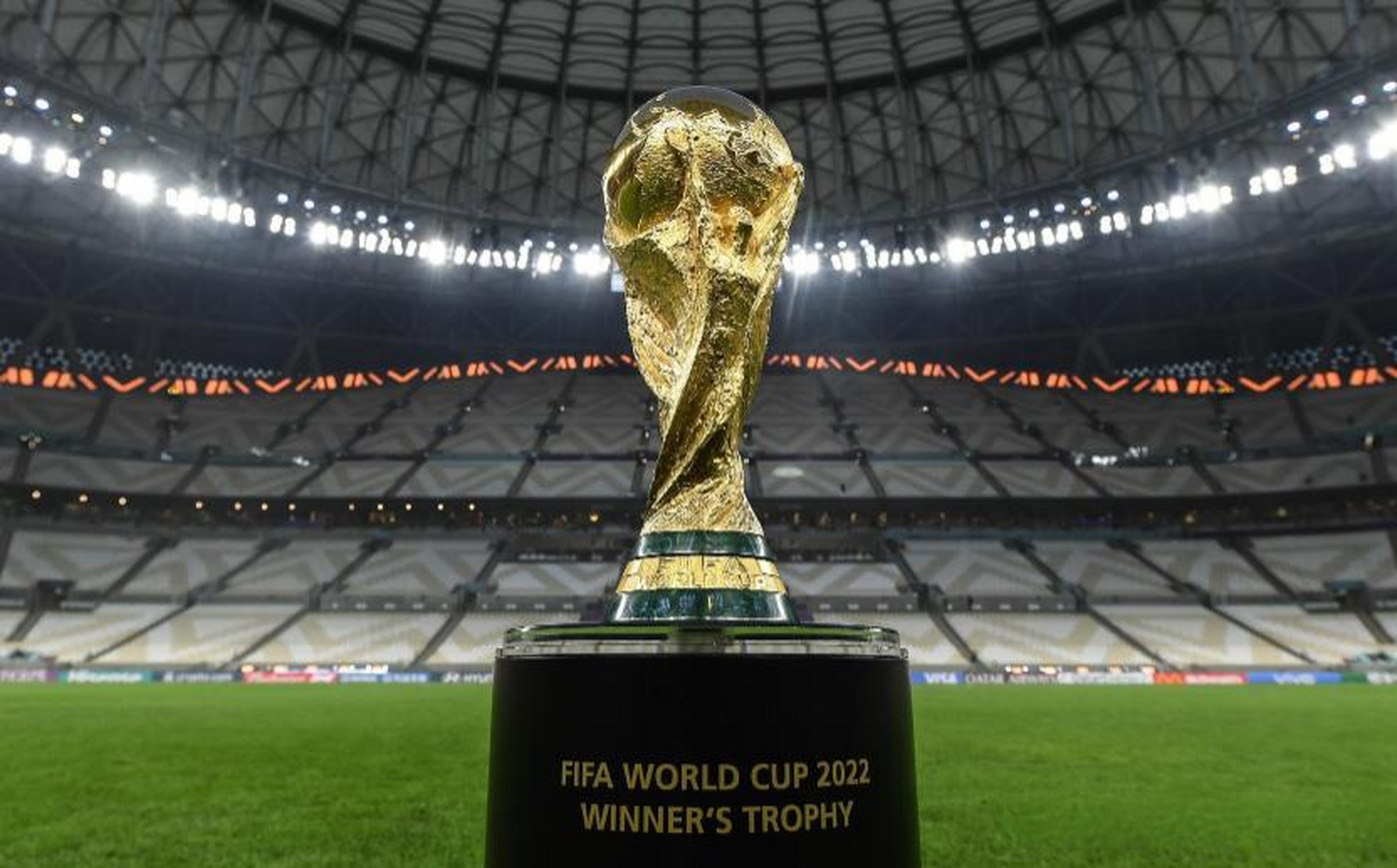 浙江队若能 浙江队若能