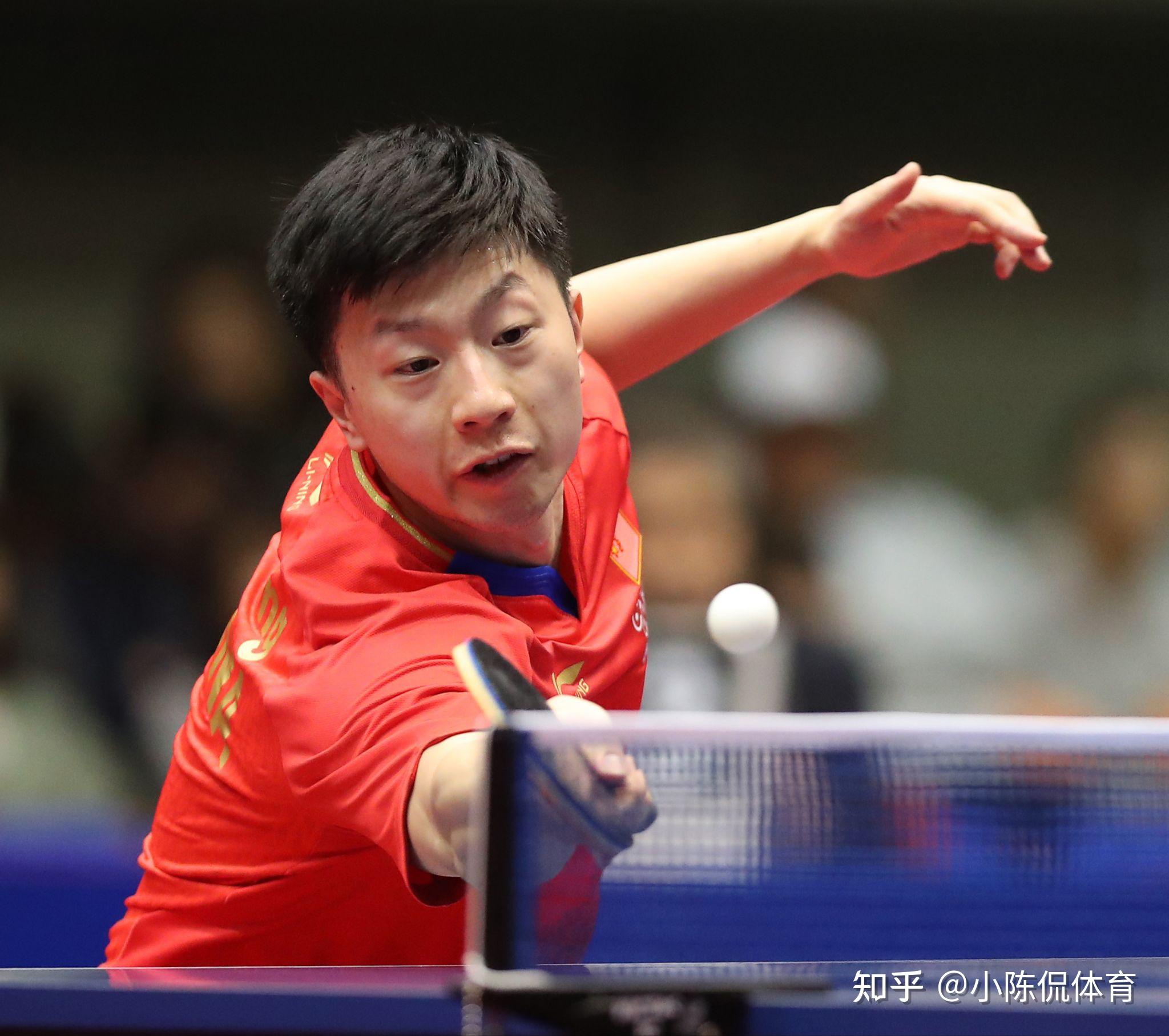 仅仅是场地 仅仅是场地